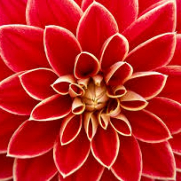 Meet your Posher, Jen - Picture 2 of 3